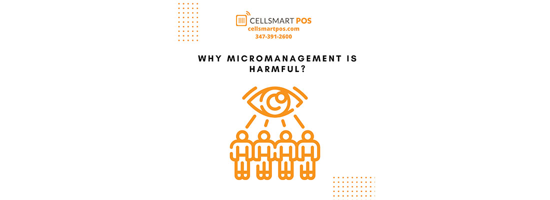 Why Micromanagement is Harmful?
